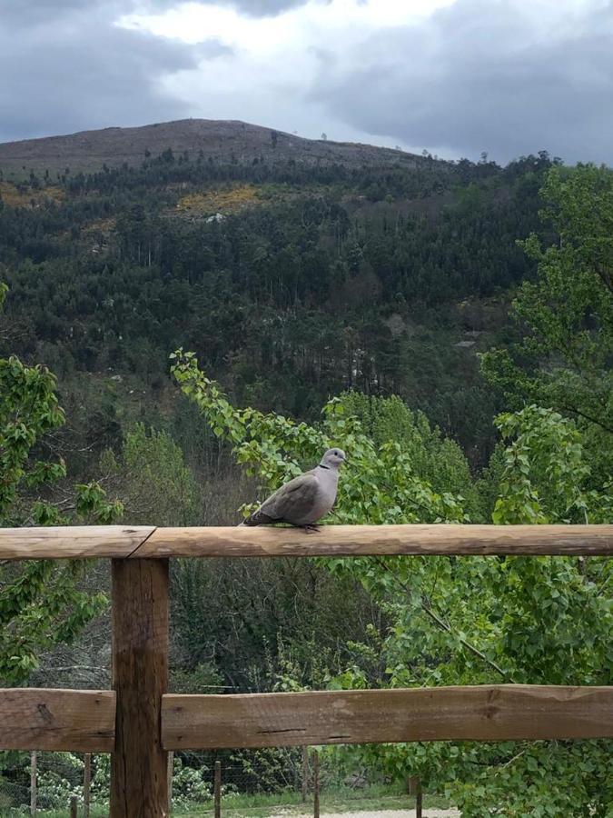 Casa Do Gaio-Turismo De Natureza Arouca Extérieur photo
