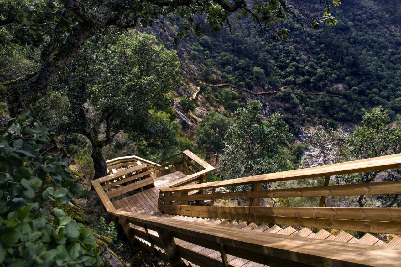 Casa Do Gaio-Turismo De Natureza Arouca Extérieur photo